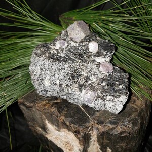 Ruby in biolite mica