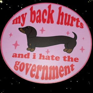 May include: A round sticker with a pink background and a black dachshund illustration. The text "my back hurts and I hate the government" is written in red, retro-style font. Pink star shapes are also included.