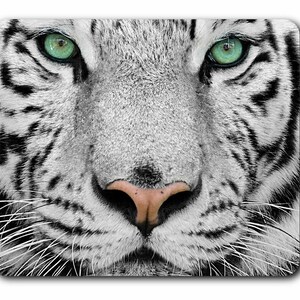 May include: Close-up of a white tiger's face with piercing green eyes. The tiger's nose is pink and its whiskers are visible.