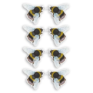 May include: Eight black and yellow bumblebees with white wings, arranged in four pairs, facing each other.