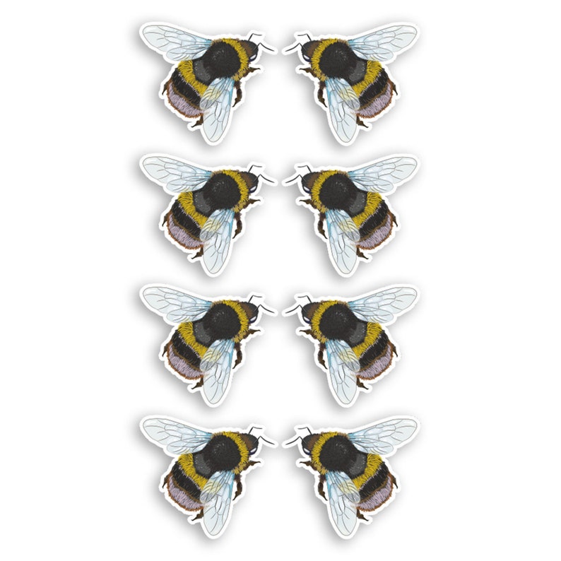 May include: Eight black and yellow bumblebees with white wings, arranged in four pairs, facing each other.