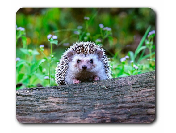 X Hedgehog Mouse Mat Garden Hedge Hogs Animal Desk Accessories
