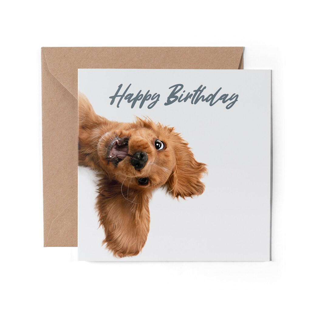 Biglietto Di Auguri Per Nuovo Cane O Cucciolo | 14,5x14,5 Cm | Fatto A Mano In Inghilterra Con Busta