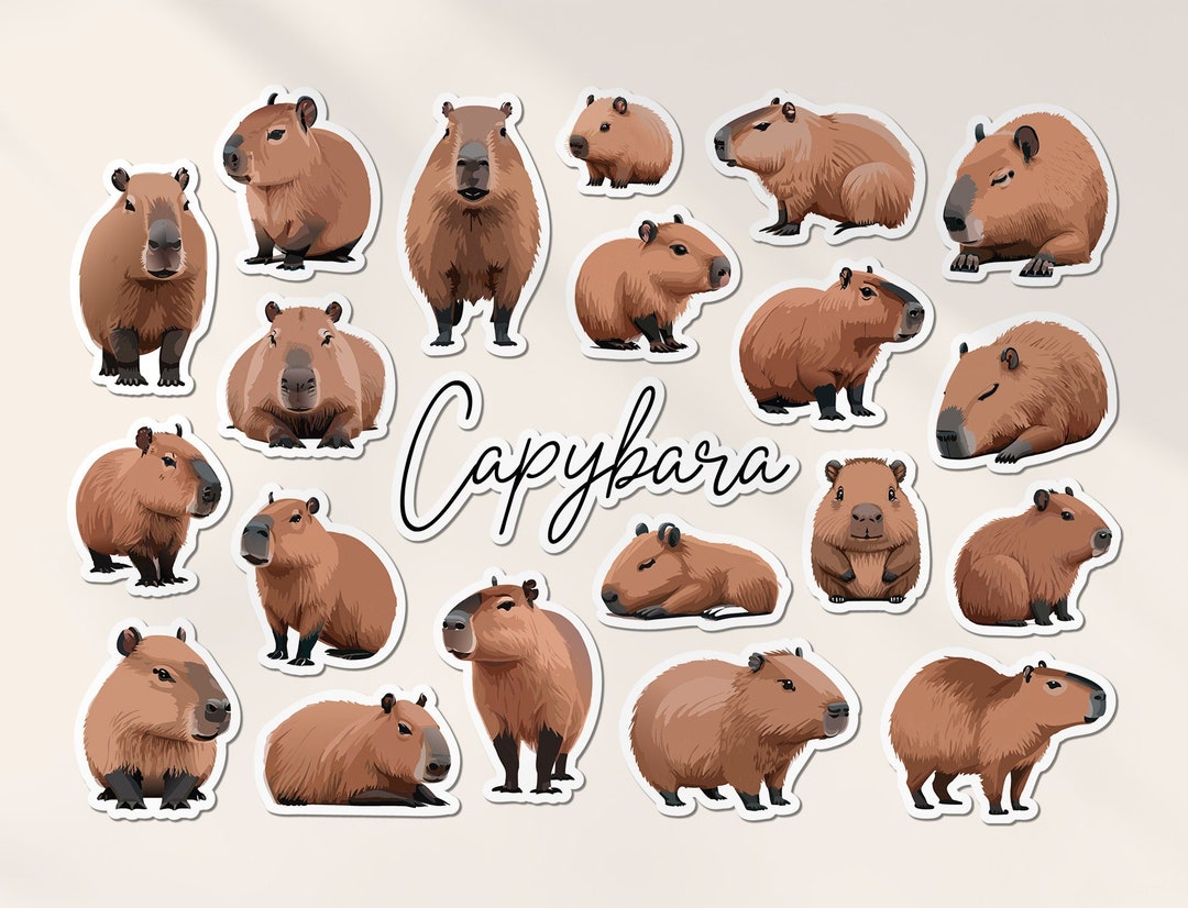 A5 Sticker Sheet Capybara Vinyl Stickers - Wild Rodent Cartoon Kawaii ...