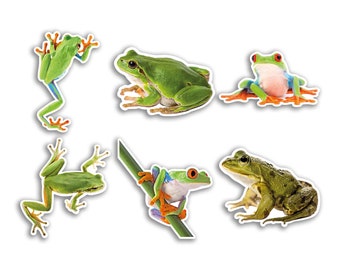 6 x 10cm Frog Vinyl Stickers - Tree Red Eye Funny Animal Pattern Nature Pets Face Wild Girls Boys Travel Scrapbooking Gift #80817