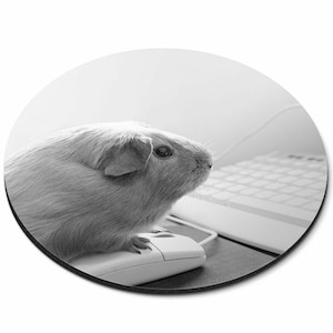 May include: A black and white photograph of a guinea pig sitting on a computer mouse next to a keyboard. The guinea pig is looking at the keyboard.