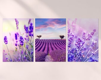 3 x Lavender Posters - Flowers Field Purple Trio of Prints Portrait Poster Artwork Art Feature Photo Decoration Wall Décor | A4 | A3 | Gift