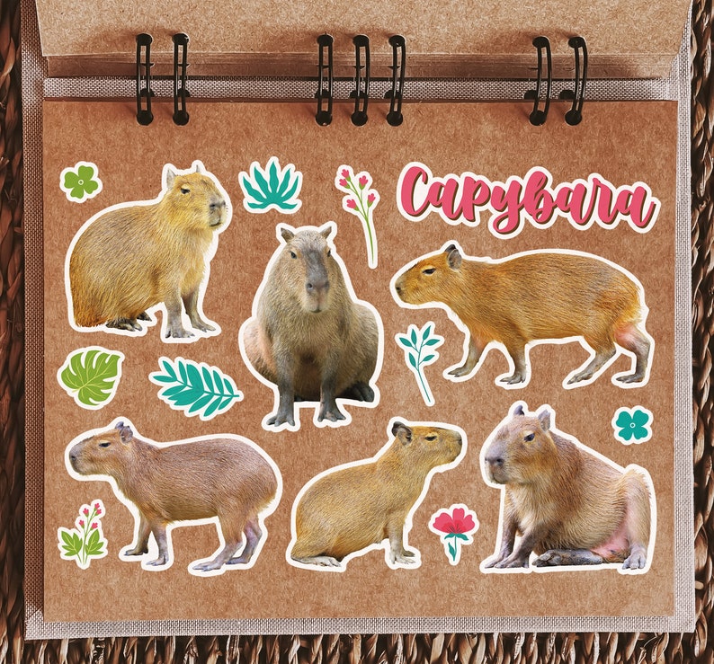 A5 Sticker Sheet Capybara Vinyl Stickers - Wild Nature Animals ...
