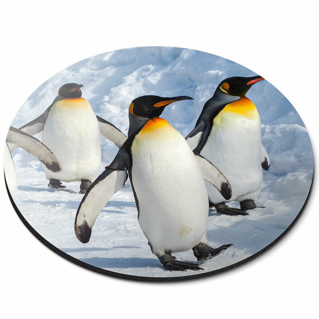 X Emperor Penguin Round Mouse Mat March Antarctica Desk