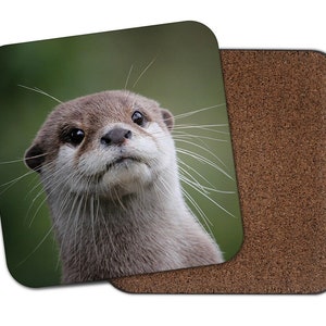 Square Single Coaster - Otter Wild Animal Nature Cheeky Face Kitchen Mug Cup Drinks Bedroom Room House Gift #14988