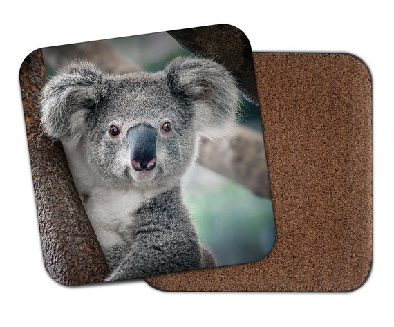 Koala Bear Square Coaster Australia Cute Wild Animals Boys - Etsy Koala Bear Square Coaster Australia Cute Wild Animals Boys - Etsy