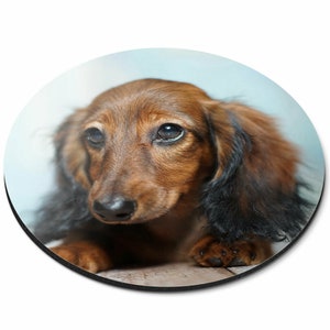 1 x Dachshund Round Mouse Mat - Sausage Dog Puppy Animal Desk Accessories Birthday Computer Office Work Home Mousepad Pad PC IT Gift #2017