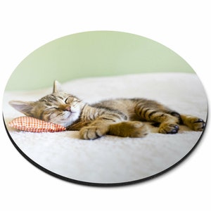 May include: A tabby kitten asleep on a soft, white surface, with its head resting on a small, red and white checked pillow. The kitten's eyes are closed, and its fur is a mix of brown and tan.