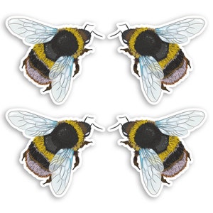 May include: Four black and yellow bumblebees with translucent wings, each bee is facing a different direction.