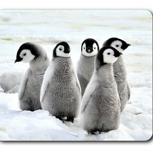 May include: A mouse mat showing five young penguins in a snowy environment. The penguins have black and white plumage and are grouped together. The background depicts a snow-covered landscape.
