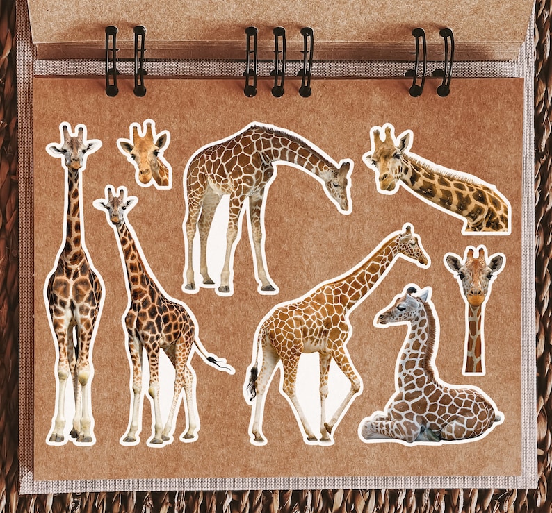 A5 Sticker Sheet Giraffe Vinyl Stickers - Safari Zoo Wild Animals ...