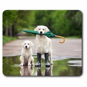 May include: Two golden retriever dogs, one large and one small, standing in a puddle. The larger dog is holding a green umbrella in its mouth. Both dogs are wearing black wellington boots.
