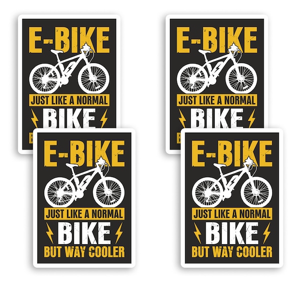 Kit stickers vélo mountain bike Raleigh Deco Sticker Store