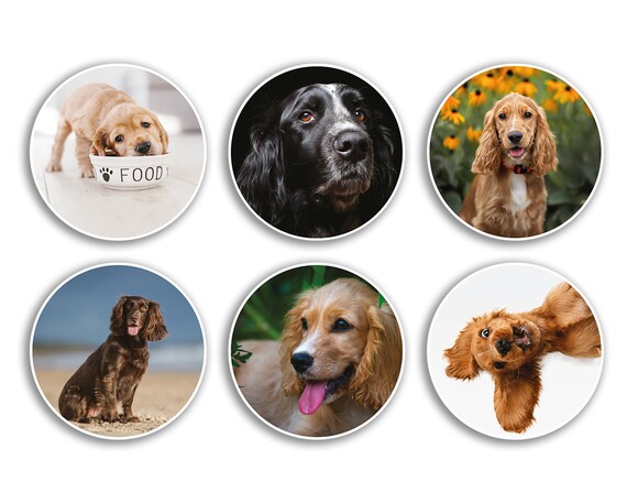 2x Vinyl-Aufkleber Cocker Spaniel – 10 Cm, Schwarz, Glänzend Für Auto, Laptop & Basteln