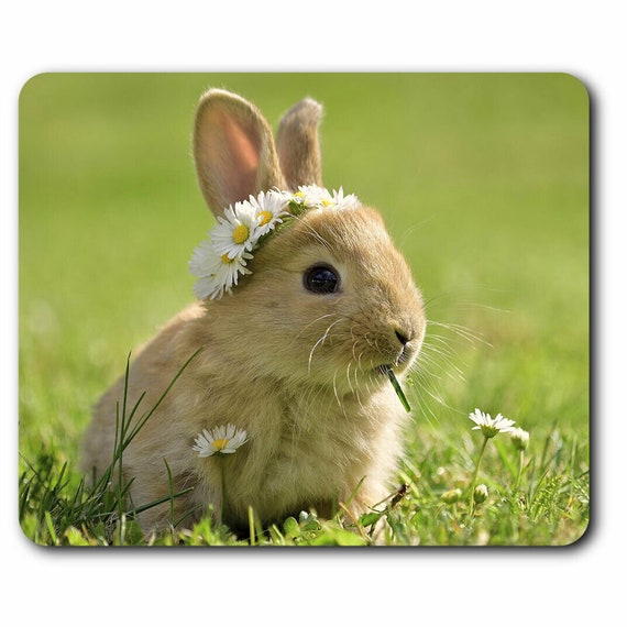 x Daisy Chain Bunny Mouse Mat Rabbit Baby Animal Pets Desk Accessories  Birthday Computer Office Work Home Mousepad Pad PC IT Gift #15575