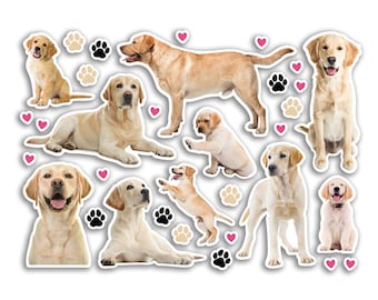 A5 Sticker Sheet Golden Labrador Vinyl Stickers - Dogs Puppy Animals Scrapbooking Travel Decoration Label Friend Girls Boys Aesthetic #80801