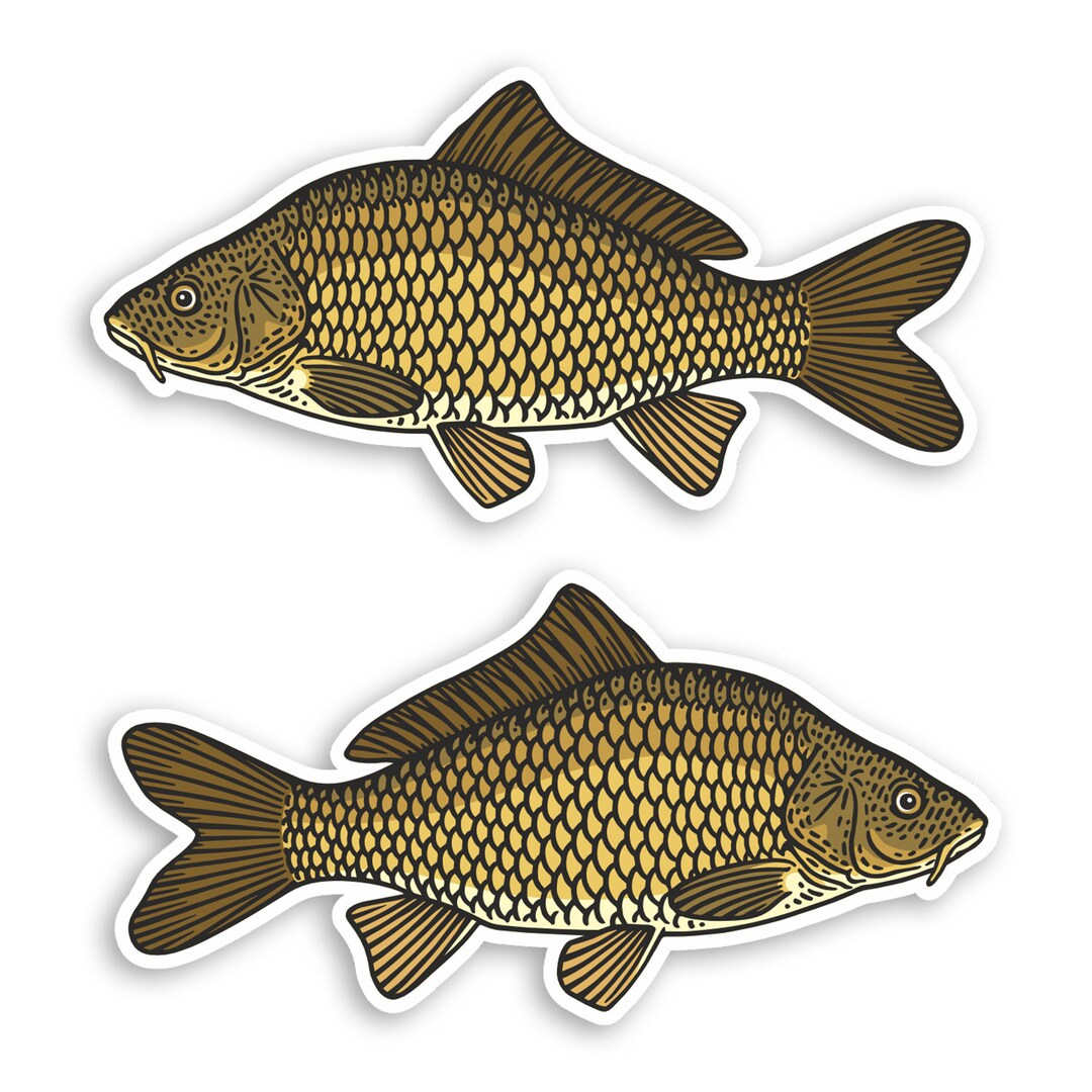 2 X 10cm Carp Fish Vinyl Stickers - Fishing Dad Brother Uncle Boyfriend ...