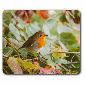 May include: A small, orange-breasted robin perched on a branch with green and brown leaves. The bird is looking to the right of the image.