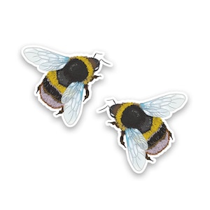 May include: Two bumblebees with black and yellow stripes and translucent wings. The bees are flying with their wings spread out.