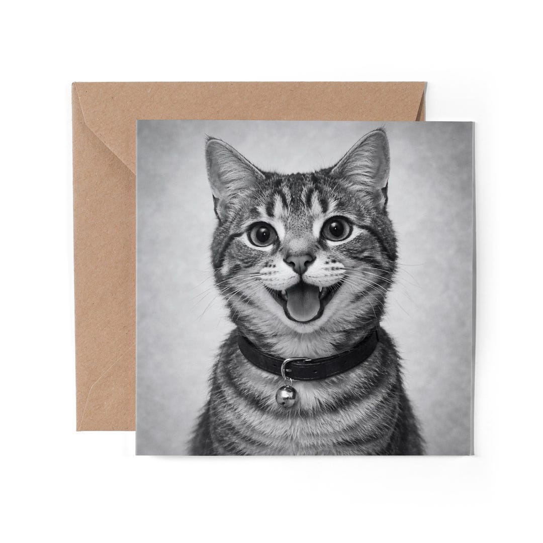 1 X Happy Tabby Cat Greeting Card - Kitten Birthday Black & White Gift ...
