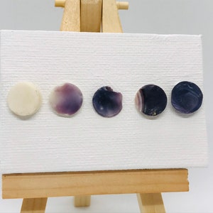 Könnte beinhalten: Fünf runde Muschelohrringe in verschiedenen Schattierungen von Lila und Weiß. Die Ohrringe werden auf einem kleinen Holzstaffelei präsentiert.