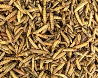 Hermetia Soldatenfliegenlarven getrocknet Vogelfutter Hühner Wachteln Nagerfutter