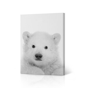 Black and White Baby Polar Bear Animal Canvas Wall Art Print Wildlife Office Living Room Bedroom Bathroom Kids Nursery Room Home Decor
