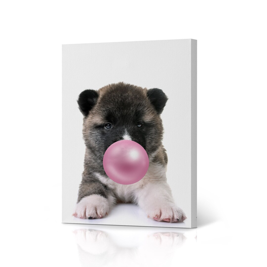 Cute Akita Dog Blowing Pink Bubble Gum Colorful Portrait Pop Art Animal ...