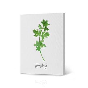 Parsley Watercolor Painting Rustic Kitchen Wall Decor Canvas Print Housewarming Gift Restaurant Cafe Farmhouse Dining Room Modern Wall Art