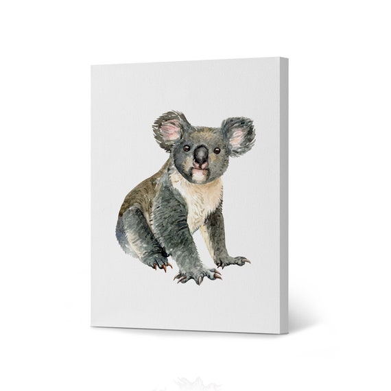 Wall Art Print, Wild koala