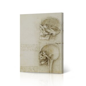Skull Sectioned by Leonardo Da Vinci Canvas Wall Art Print Renaissance Famous Painting Masterpiece Fine Art Living Room Bedroom Home Decor