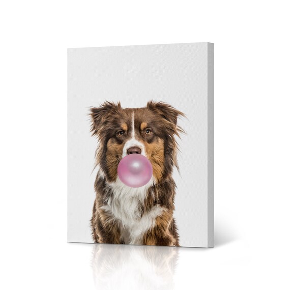 Australian Shepherd Dog Blowing Pink Bubble Gum Pop Art Animal | Etsy