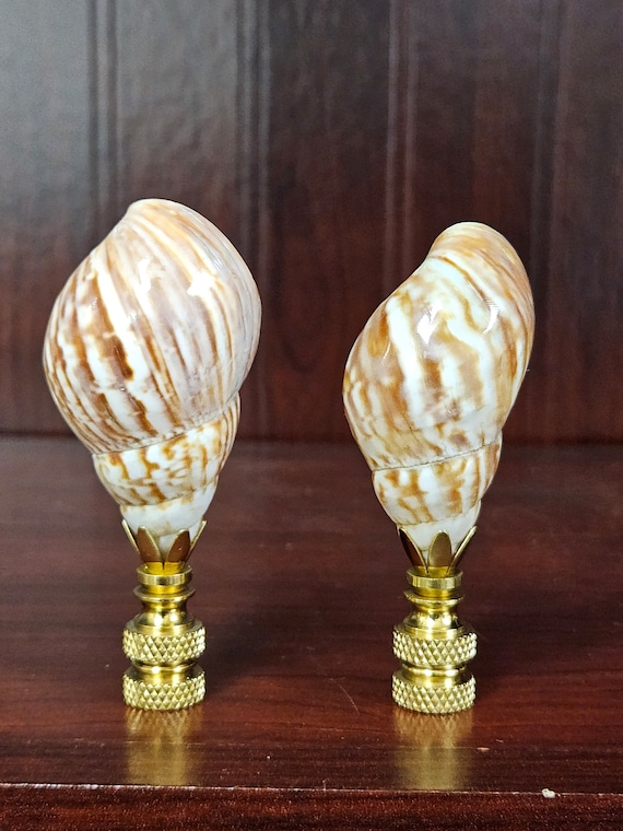 Seashell Finials Lampshade Toppers Lamps Parts Home Decor