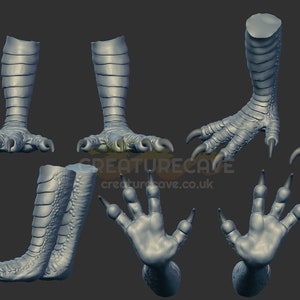 May include: A 3D model of a set of clawed feet, showing different angles of the foot and leg. The model is a light gray color and has a textured surface.