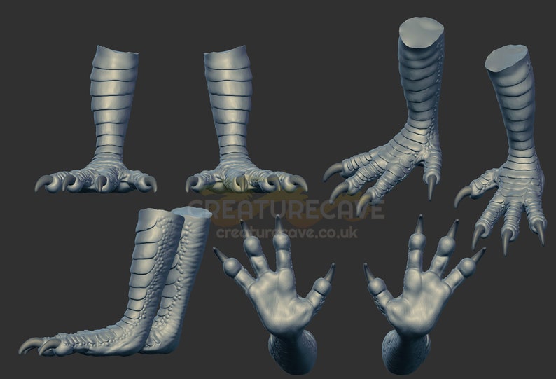 May include: A 3D model of a set of clawed feet, showing different angles of the foot and leg. The model is a light gray color and has a textured surface.