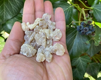Frankincense,  200g only big tears of fresh Boswellia sacra Resin from Yemen - High-Grade Quality
