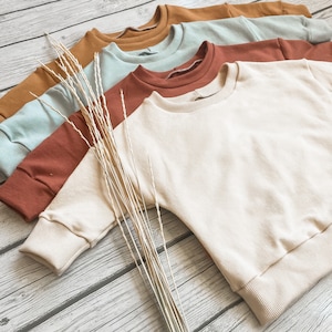 May include: Four long-sleeved sweatshirts in different colors: beige, light blue, rust, and brown. The sweatshirts are folded and stacked on top of each other on a light wood surface.