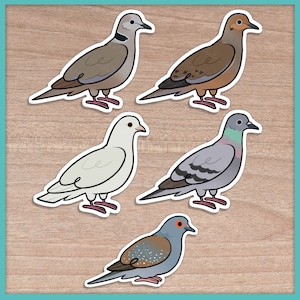 Adesivos de pomba e pombo (fofos)