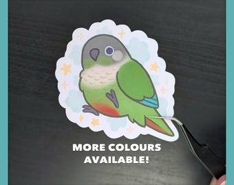 Cloudy Conure (Pyrhurra) Stickers
