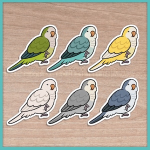 Adesivos Quaker Parrot (Cuties)