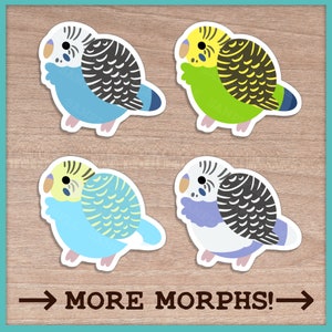 Budgie (Fluffballs) Stickers