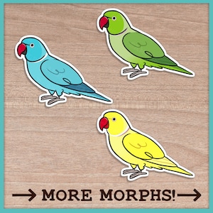 Adesivos Indian Ringneck (Cuties)