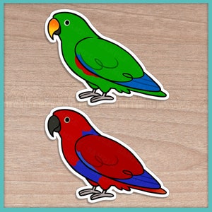 Eclectus (Cuties) Stickers
