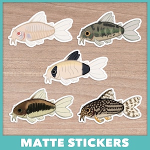 Corydoras Catfish Stickers + Sticker Sheet image 1