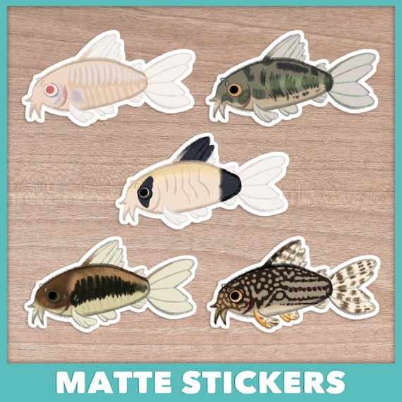 Corydoras Catfish Stickers + Sticker Sheet